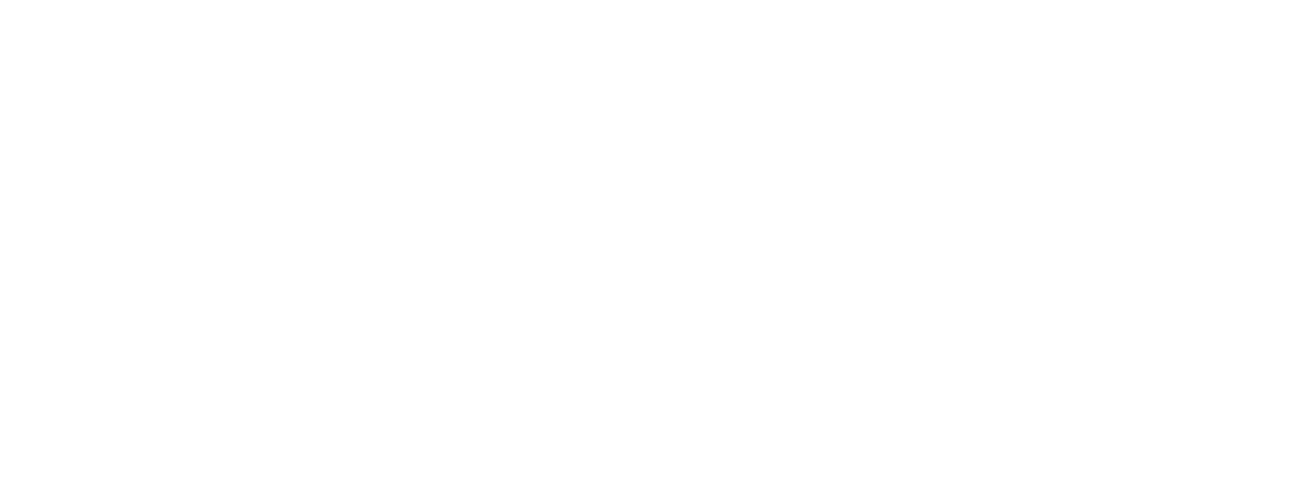https://www.texascaraccidents.nuruwitherspoon.com/wp-content/uploads/2020/03/twlg_logo_final_with833INPAINInfo-1-copy-1.png